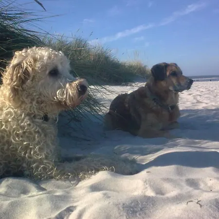 Дом отдыха Ostseeferienhaus Nebengebaeude Monkebude