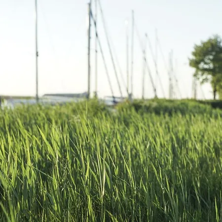 Ostseeferienhaus Nebengebaeude Дом отдыха Monkebude